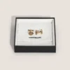 Cufflinks Masters of Art Homage to Gustav Klimt