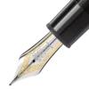 Meisterstück Platinum-Coated 149 Fountain Pen (F)