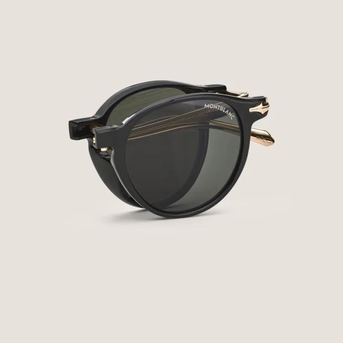 Oval foldabale Sunglasses with Black Coloured Injected Frame