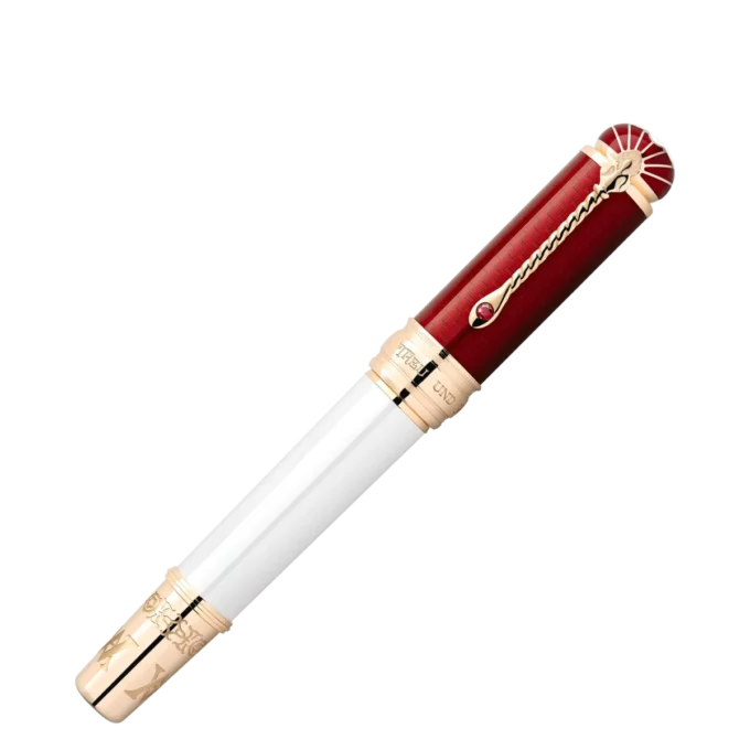 Patron of Art Homage to Albert Limited Edition 4810 Fountain Pen F