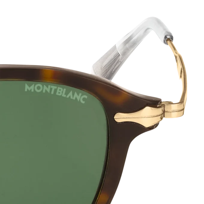 Round Sunglasses with Havana-Colored Injected Frame